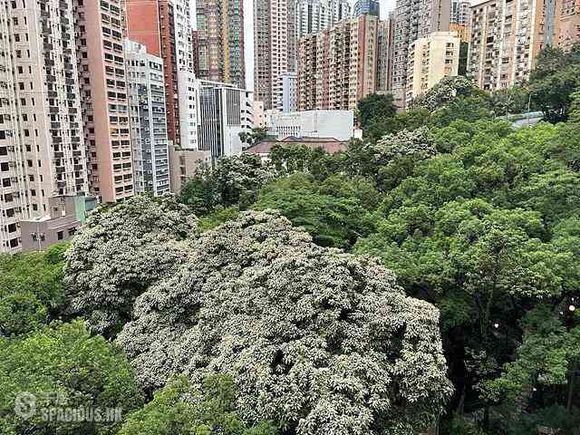 西半山 - 興華大廈B座 19