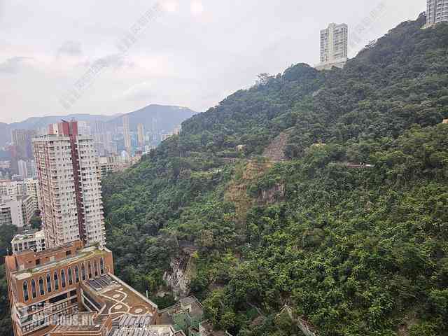 東半山 - 竹林苑 04