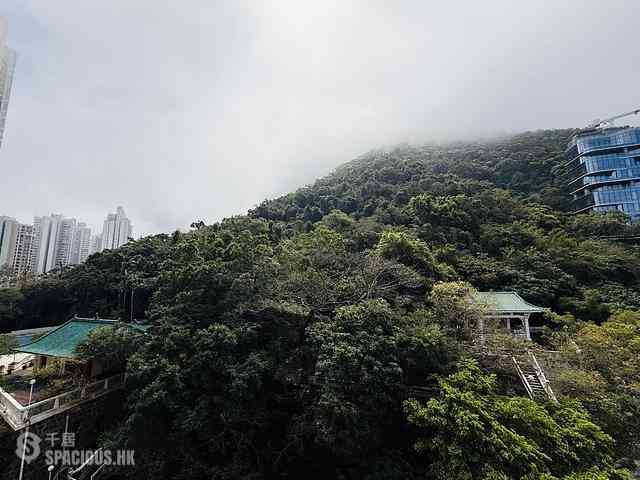 西半山 - 联邦花园 03