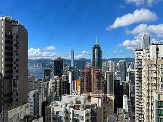 中半山 - 罗便臣道31号 08