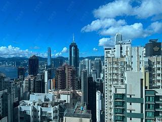 中半山 - 罗便臣道31号 10