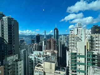 中半山 - 罗便臣道31号 11