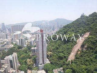 東半山 - 竹林苑 02