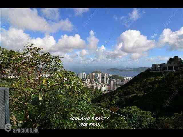 山頂 - La Hacienda 05