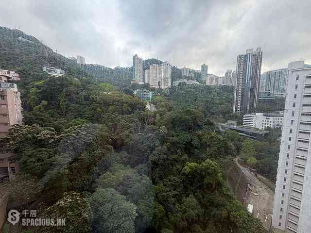 Wan Chai - Star Crest Block 1 08