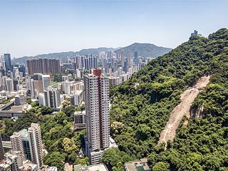東半山 - 竹林苑 04