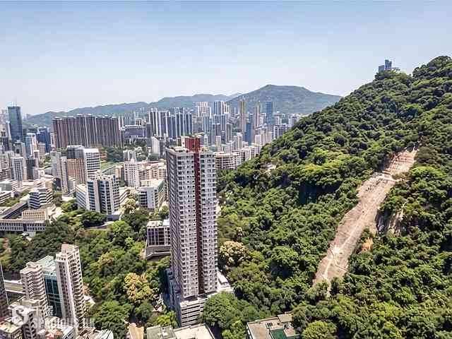 東半山 - 竹林苑 04