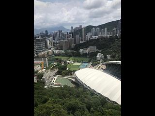 跑馬地 - 樂陶苑 05