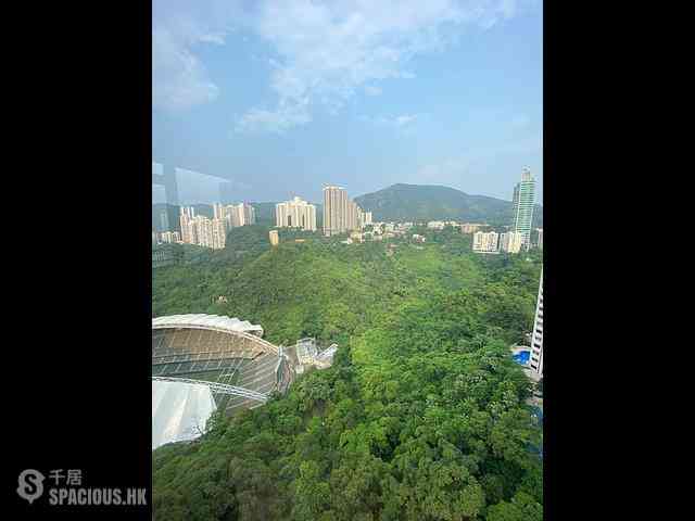跑马地 - 乐陶苑 22
