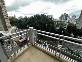 大坑 - 柏园 02