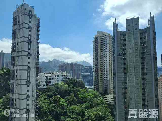 大坑 - 帝后臺 02