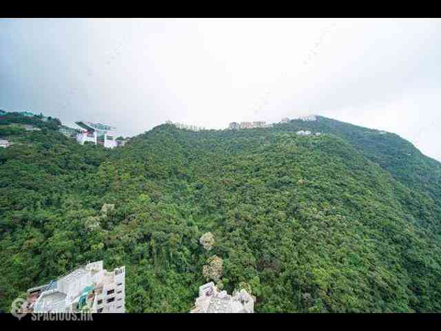 中半山 - 地利根德閣3座 04
