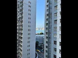 鲗鱼涌 - Finnie 11