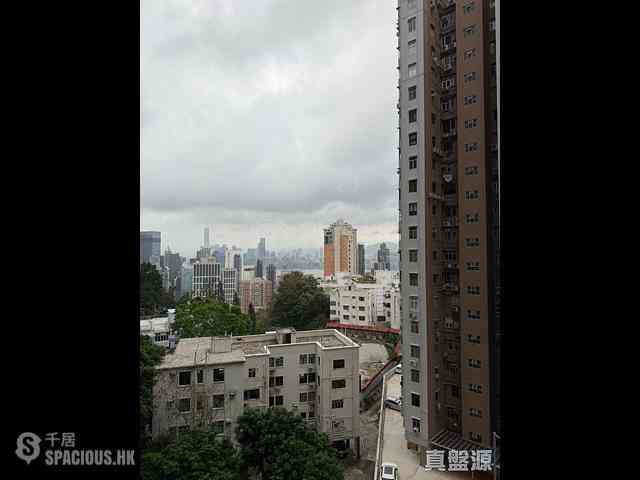 Tai Hang - Park Garden 02