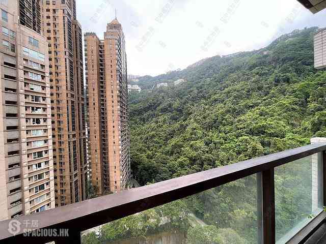 中半山 - 地利根德閣1座 11