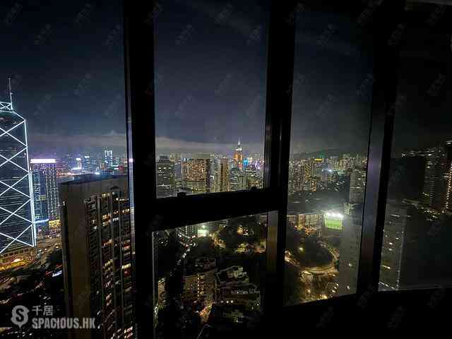 Mid Levels Central - Fairlane Tower 20