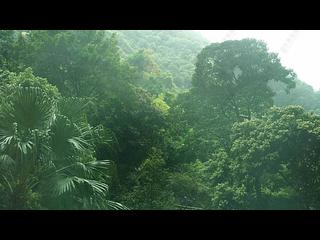 中半山 - 晓峰阁2座 16