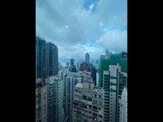 中半山 - 罗便臣道31号 08