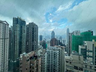 中半山 - 罗便臣道31号 14