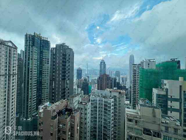 中半山 - 罗便臣道31号 14