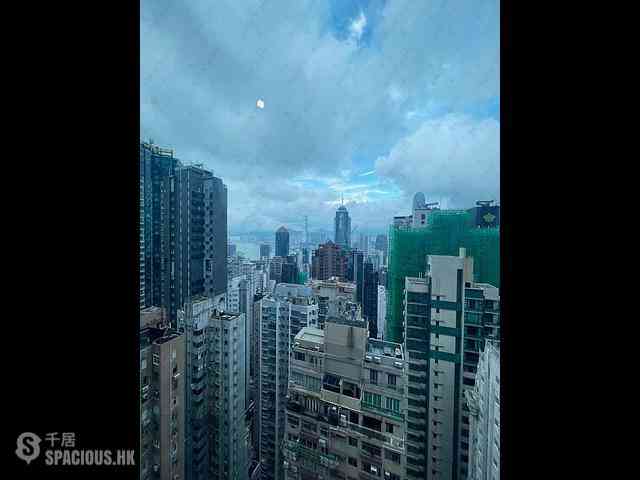 中半山 - 罗便臣道31号 16