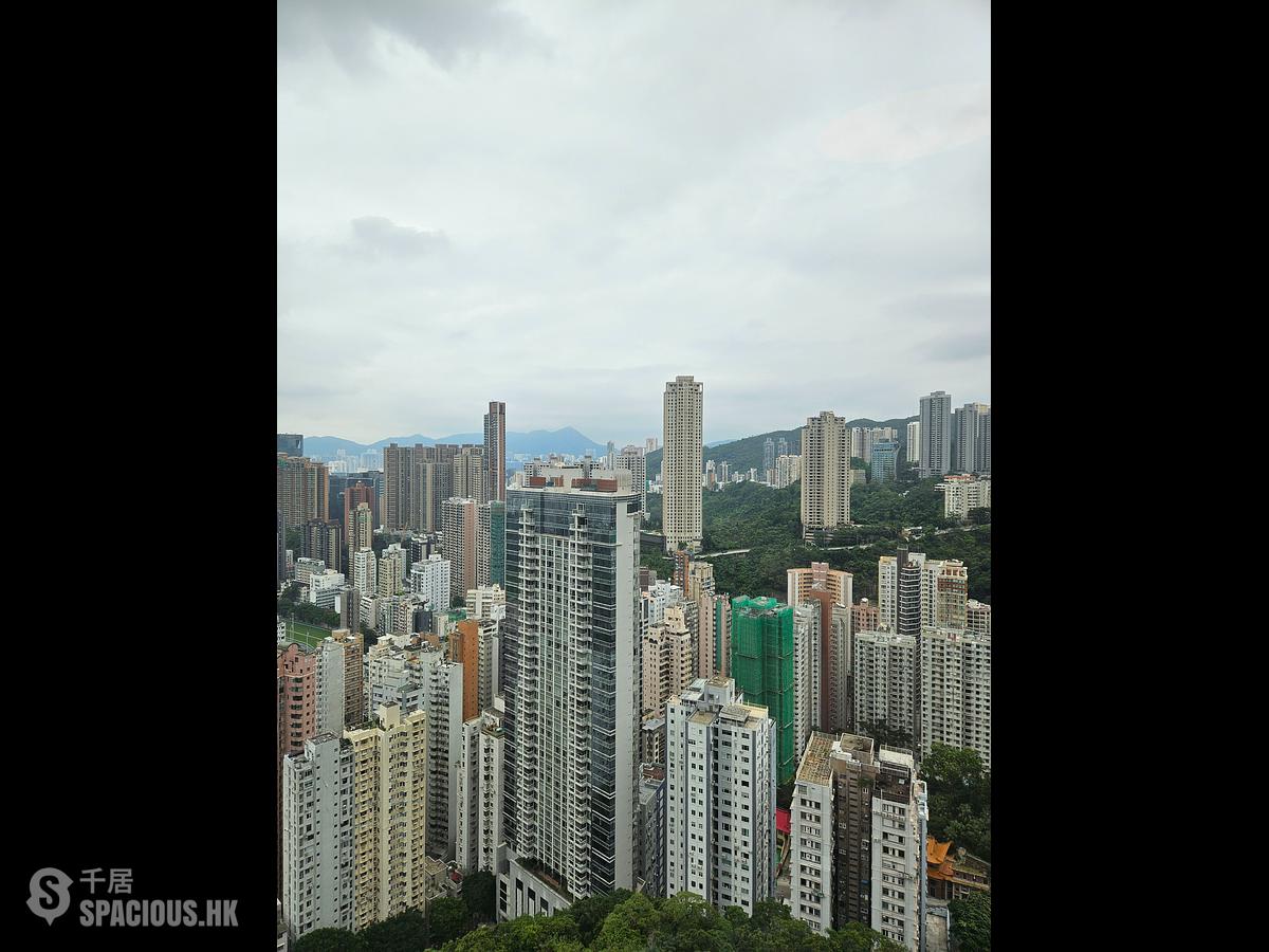 司徒拔道 - 御峰 01