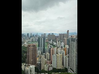司徒拔道 - 御峰 13