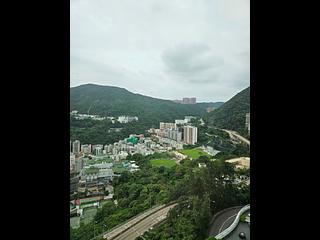 司徒拔道 - 御峰 14