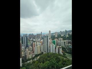 司徒拔道 - 御峰 17