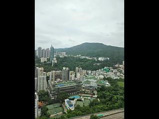 司徒拔道 - 御峰 18