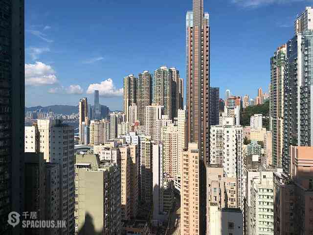 坚尼地城 - 泓都 07