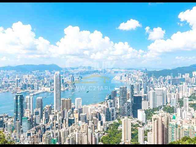 山頂 - 豐林閣 03