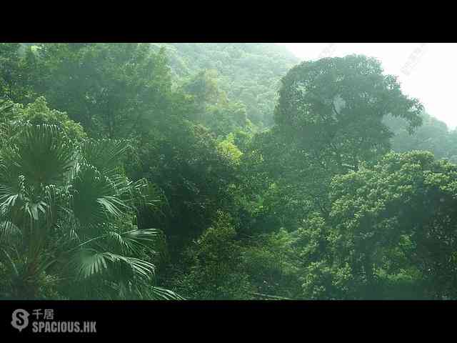 中半山 - 曉峰閣2座 02