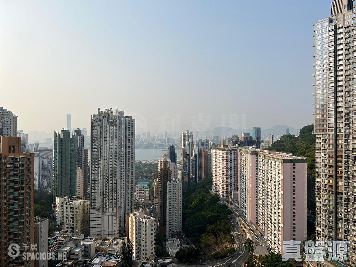 Tai Hang - The Legend Block 2 01