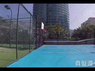 司徒拔道 - 玫瑰新村 02