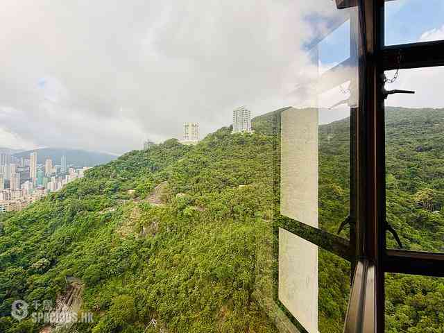 東半山 - 竹林苑 04