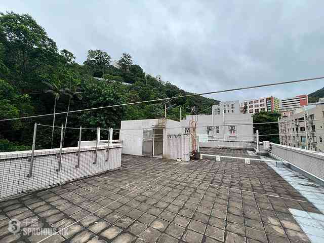 跑马地 - 翠屏苑D座 12