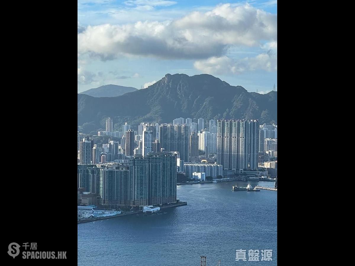宝马山 - 珊瑚阁B座 01