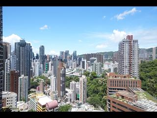 東半山 - 竹林苑 08