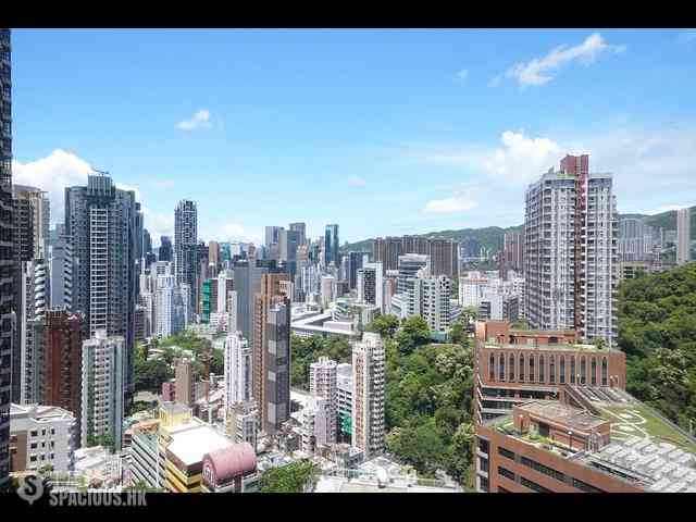 東半山 - 竹林苑 08