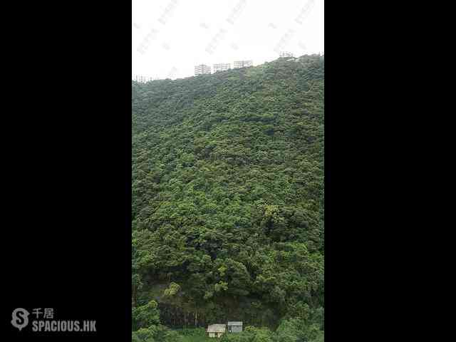 中半山 - 晓峰阁3座 10