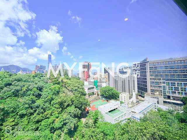 油麻地 - 京士柏山 02