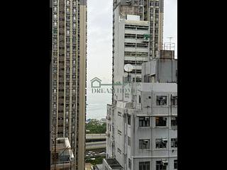 Sai Ying Pun - One・Artlane 04