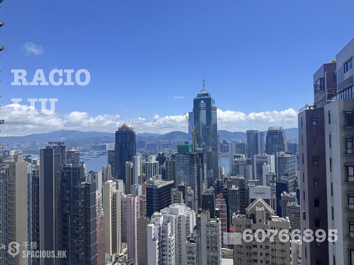 Mid Levels Central - The Grand Panorama 01