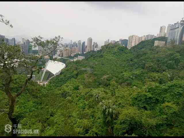 跑马地 - 渣甸山花园大厦 03