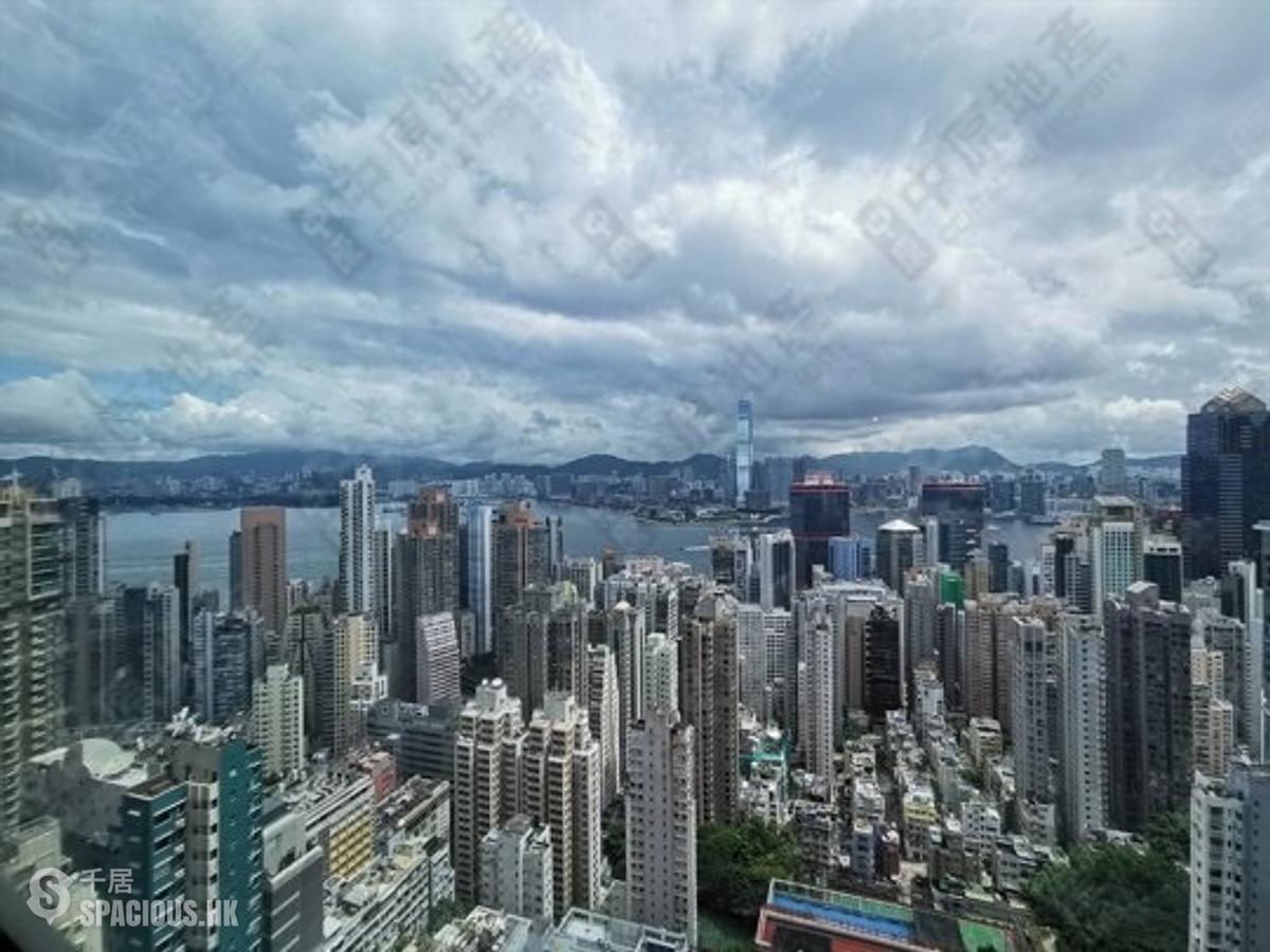 西半山 - 羅便臣道80號 01