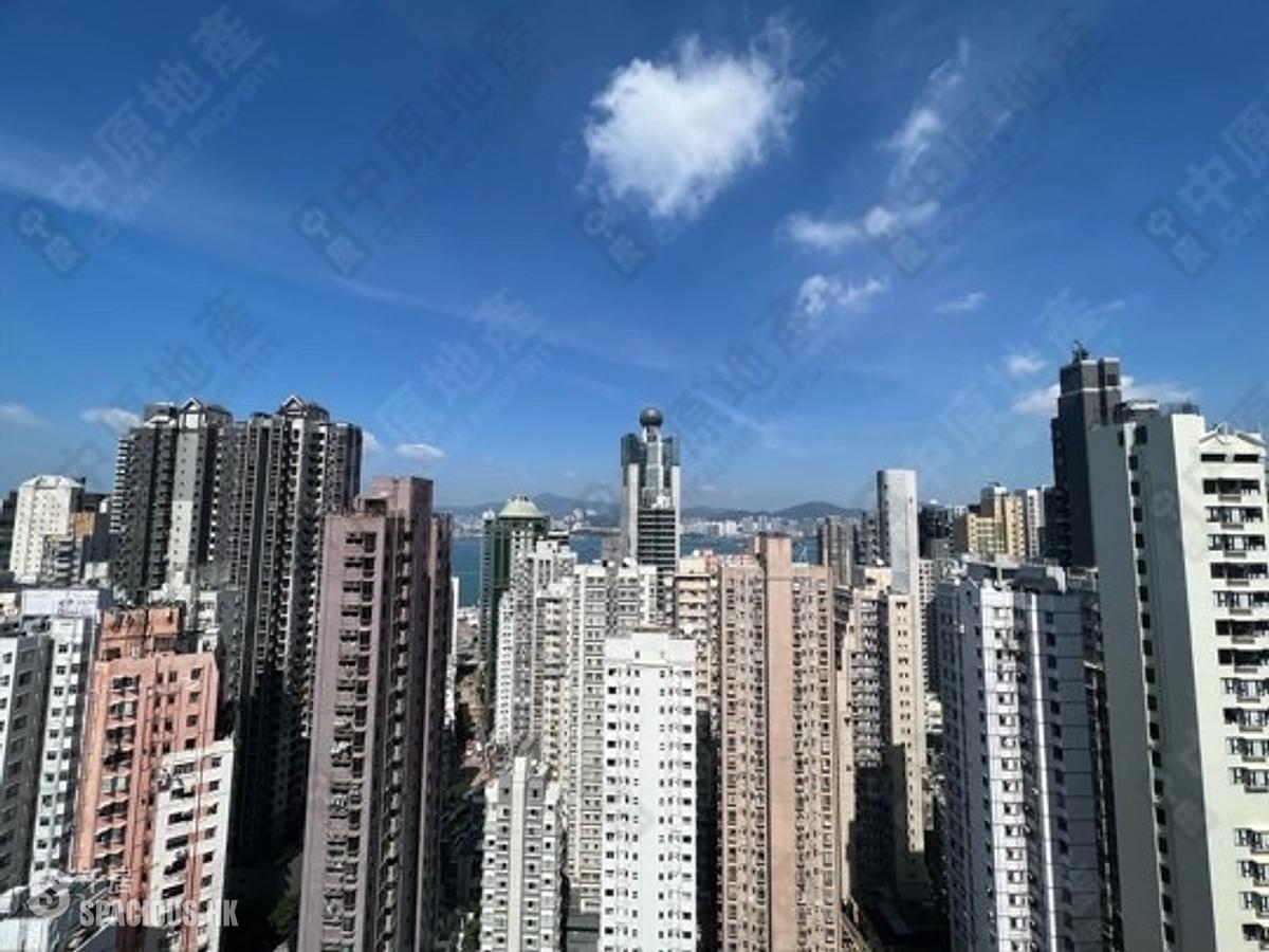 Sai Ying Pun - The Summa 01