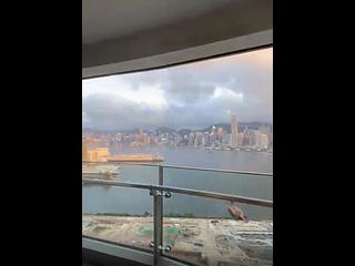 西九龙 - 君临天下 19