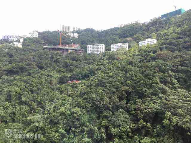 中半山 - 騰皇居 05