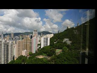 東半山 - 御花園 02